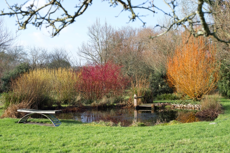 Mitchmere Farm